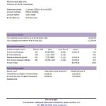 Truist Bank Statements PDF Online