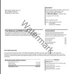 Wells Fargo Bank Statements PDF