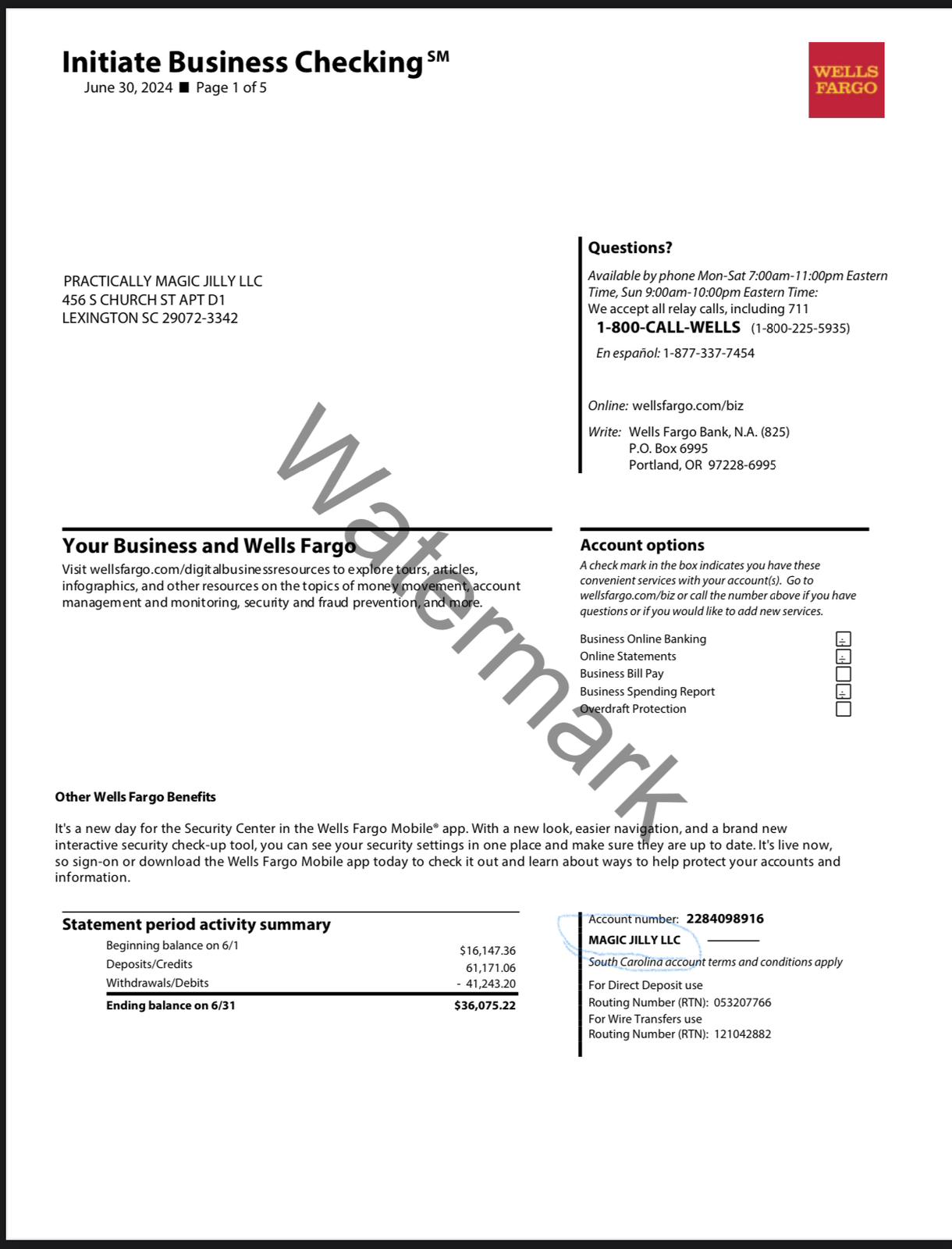 Wells Fargo Bank Statements PDF